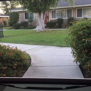 Meet your Posher, Lorenzo